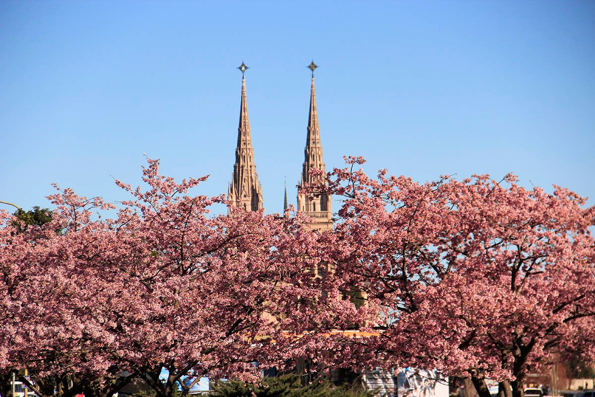 lujan-01-grupo dinal lanza tao bosque en luj&aacute;n